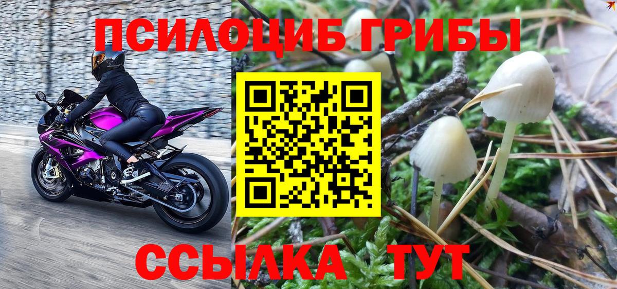 Галлюциногенные грибы Magic Shrooms Нефтекамск